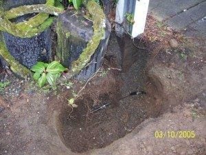 Water Service Line Repair & Replacement Seattle